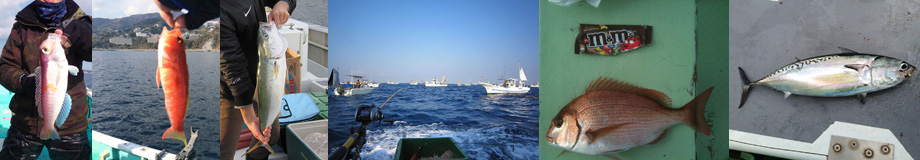 海釣り王 ～海釣り・釣り船初心者のための情報サイト～